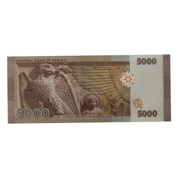 Back view of Syria 5000 Pounds UNC Banknote 2021 showcasing Syrian cultural elements